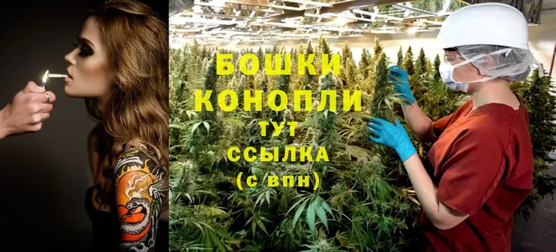 мориарти какой сайт  продажа наркотиков  Городовиковск  Шишки марихуана Amnesia 